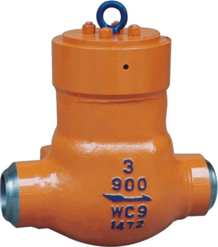 WC9 Pressure Seal Check Valve